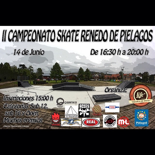campeonato skate renedo 2014
