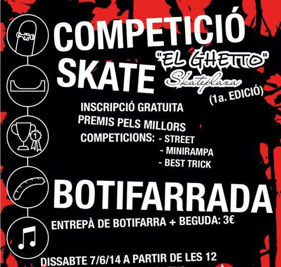 campeonato skate terrasa 2014