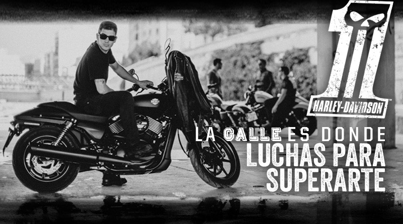 campeonato harley davidson