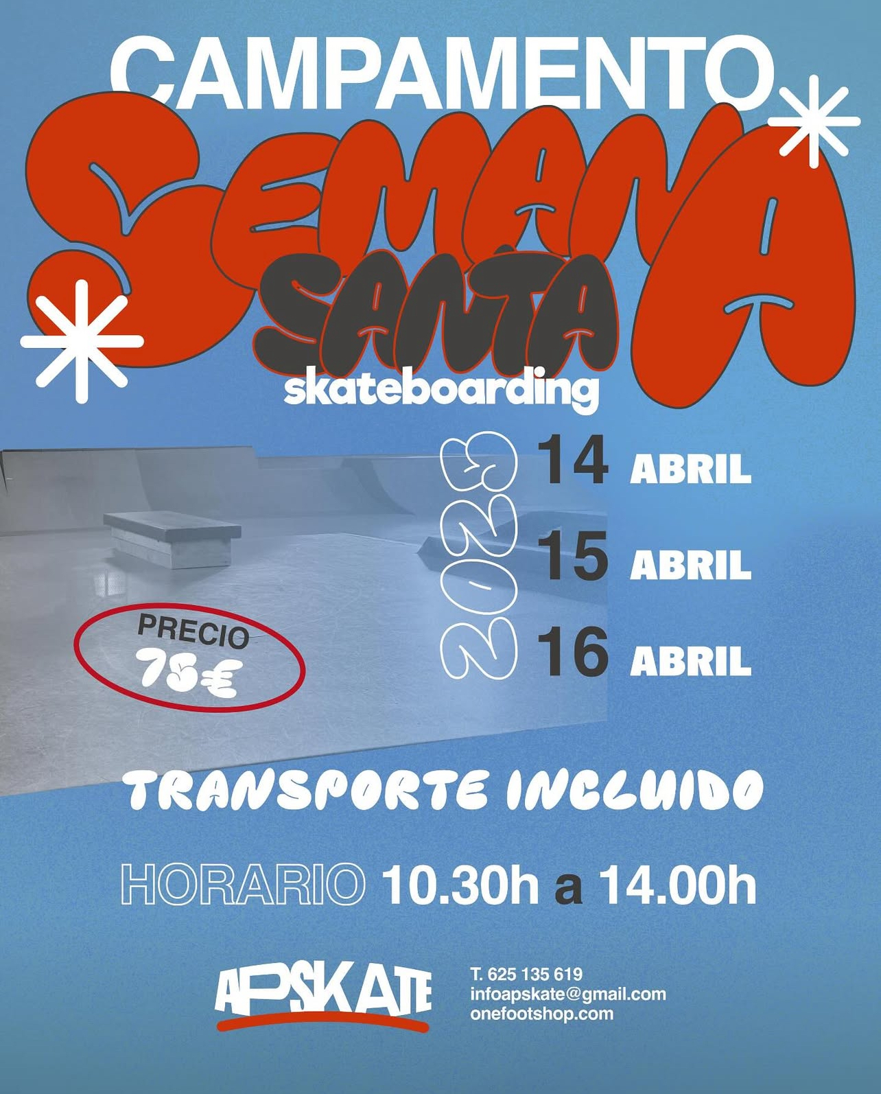 ap skate asturias camp semana santa
