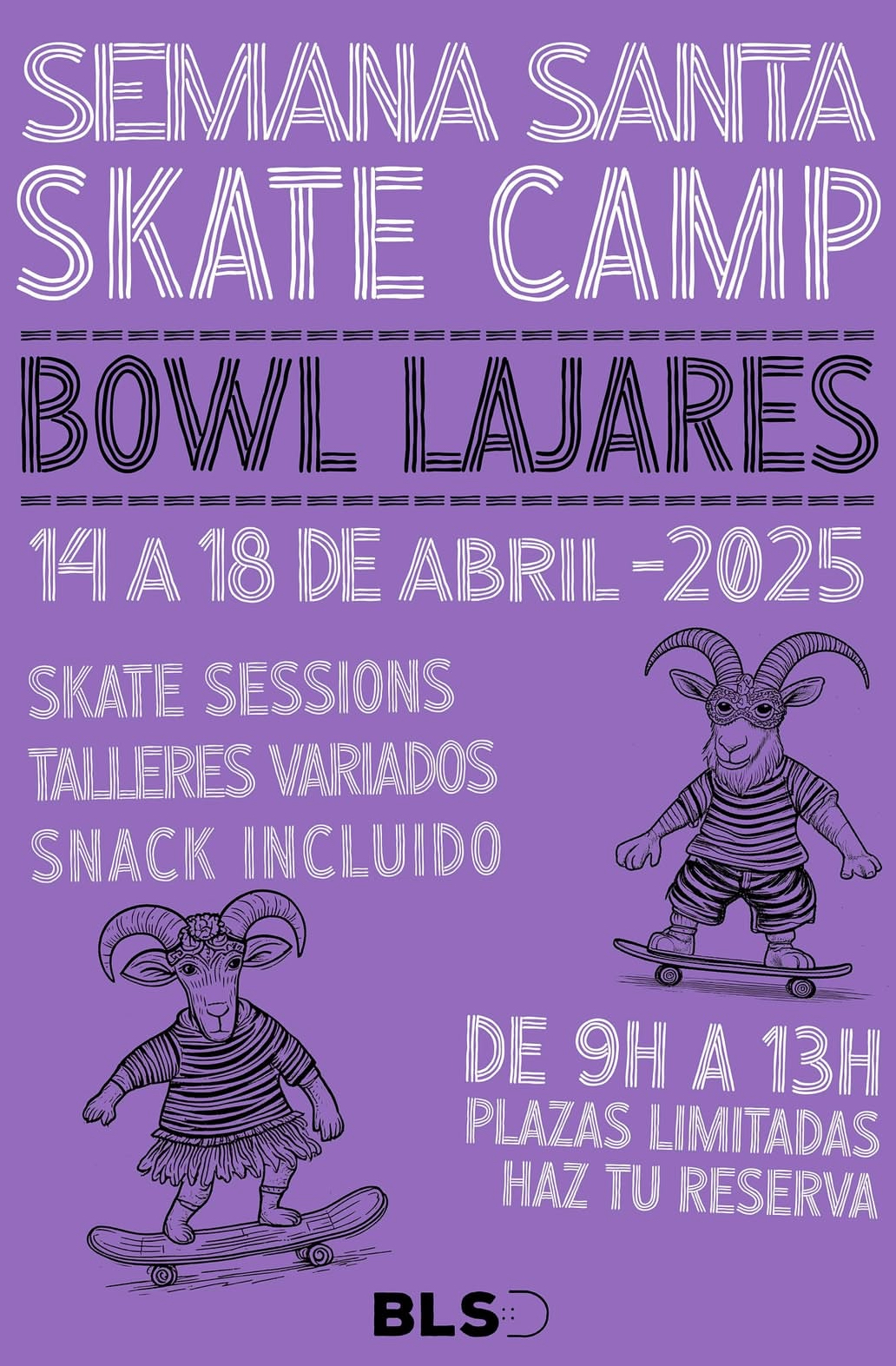 skate camp bowl lajares