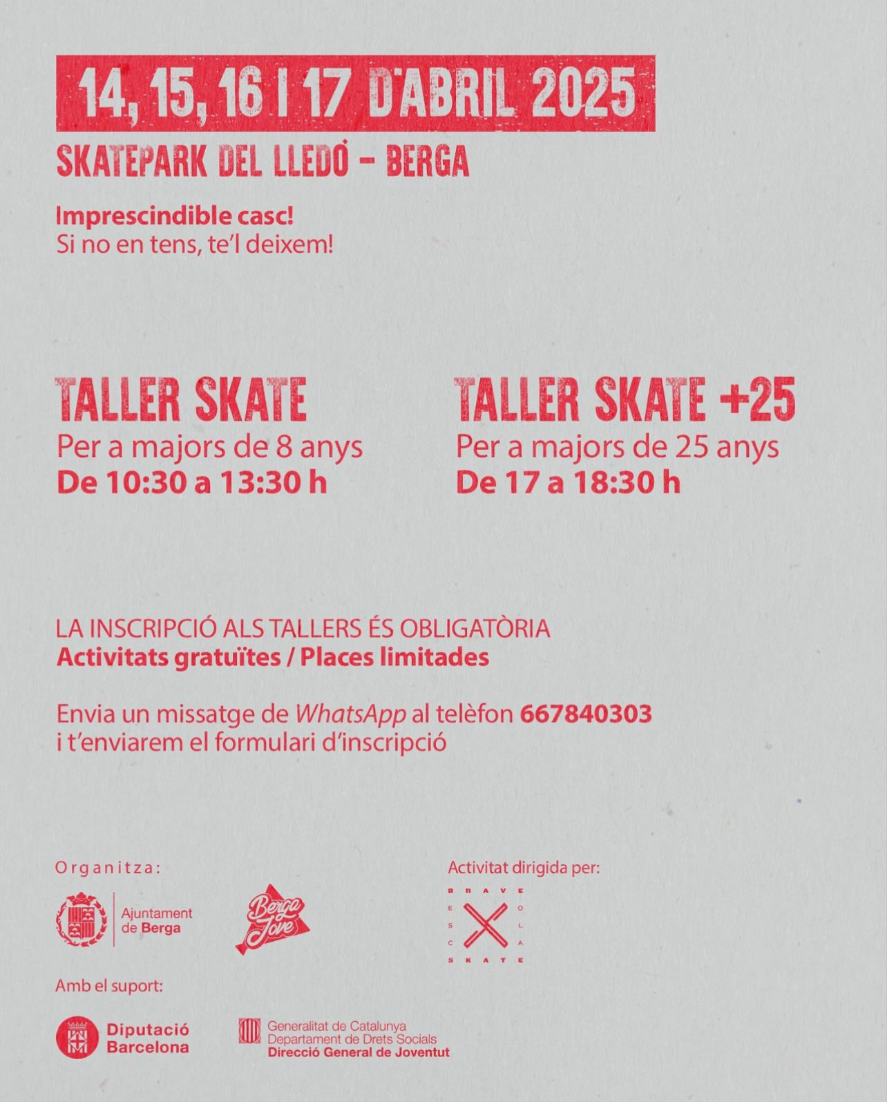 taller skate berga
