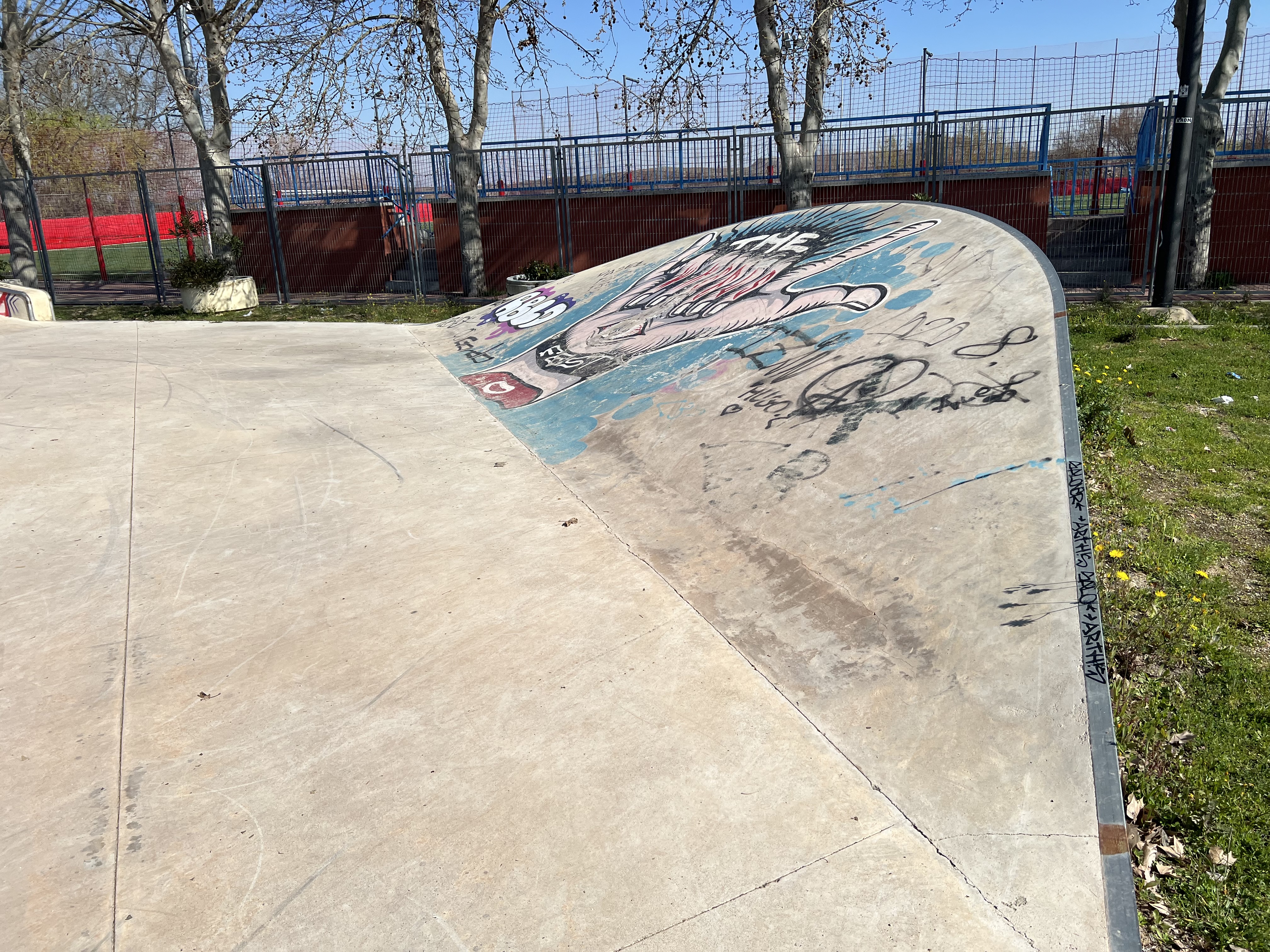 skatepark perales del rio