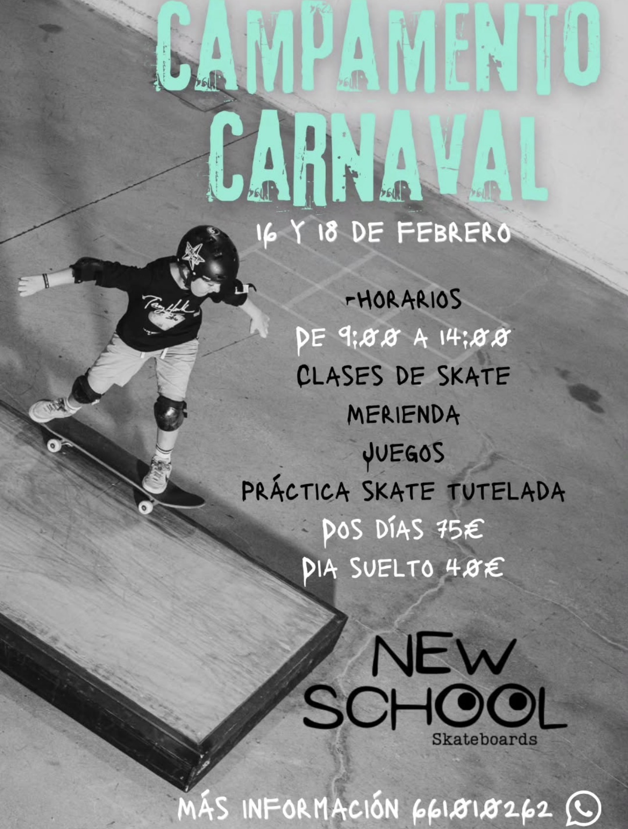 camp carnaval new school skateboards