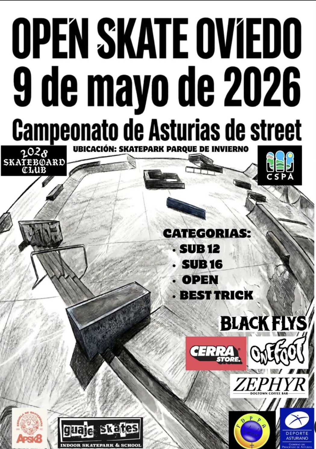 campeonato skate oviedo parque de invierno